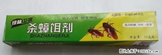 【紧急提醒】如果有“防疫站工作人员”上门灭杀蟑螂，请立刻报警 - 灌水专区 - 博尔塔拉生活社区 - 博尔塔拉28生活网 betl.28life.net