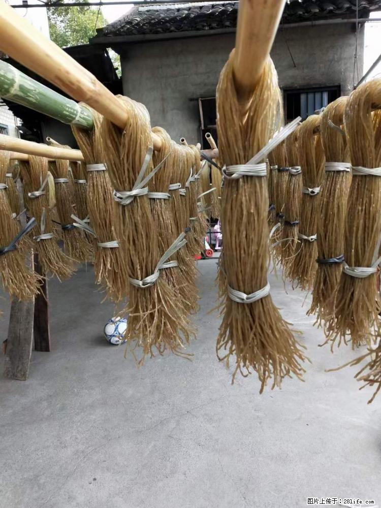 【灌阳正宗红薯粉】美女家里自己做的，干净卫生，假一赔十，价格合理，抢购电话：13737312895 - 美食天地 - 博尔塔拉生活社区 - 博尔塔拉28生活网 betl.28life.net