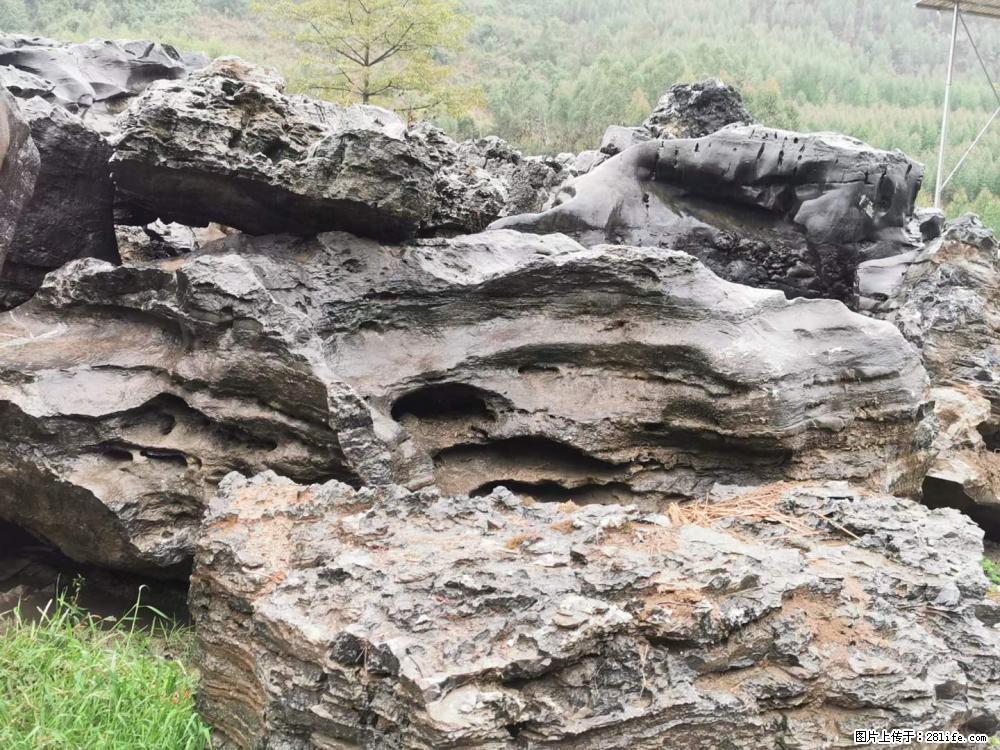 风景石、假山石大量有货，有需要的欢迎联系 - 新手上路 - 博尔塔拉生活社区 - 博尔塔拉28生活网 betl.28life.net