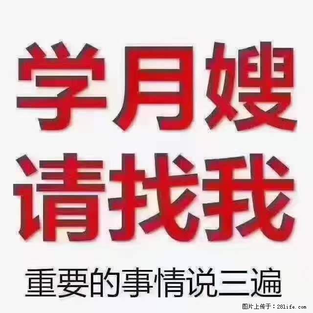为什么要学习月嫂，育婴师？ - 其他广告 - 广告专区 - 博尔塔拉分类信息 - 博尔塔拉28生活网 betl.28life.net