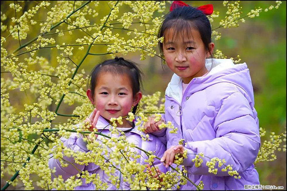 【春天，广西桂林灌阳县向您发出邀请！】米珠山前有片山苍子花在飘香 - 游山玩水 - 博尔塔拉生活社区 - 博尔塔拉28生活网 betl.28life.net