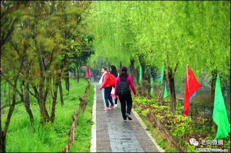 【春天，广西桂林灌阳县向您发出邀请！】江口老街又逢春 - 游山玩水 - 博尔塔拉生活社区 - 博尔塔拉28生活网 betl.28life.net