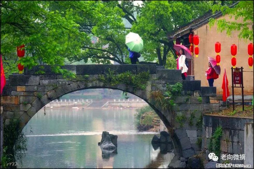 【春天，广西桂林灌阳县向您发出邀请！】江口老街又逢春 - 游山玩水 - 博尔塔拉生活社区 - 博尔塔拉28生活网 betl.28life.net