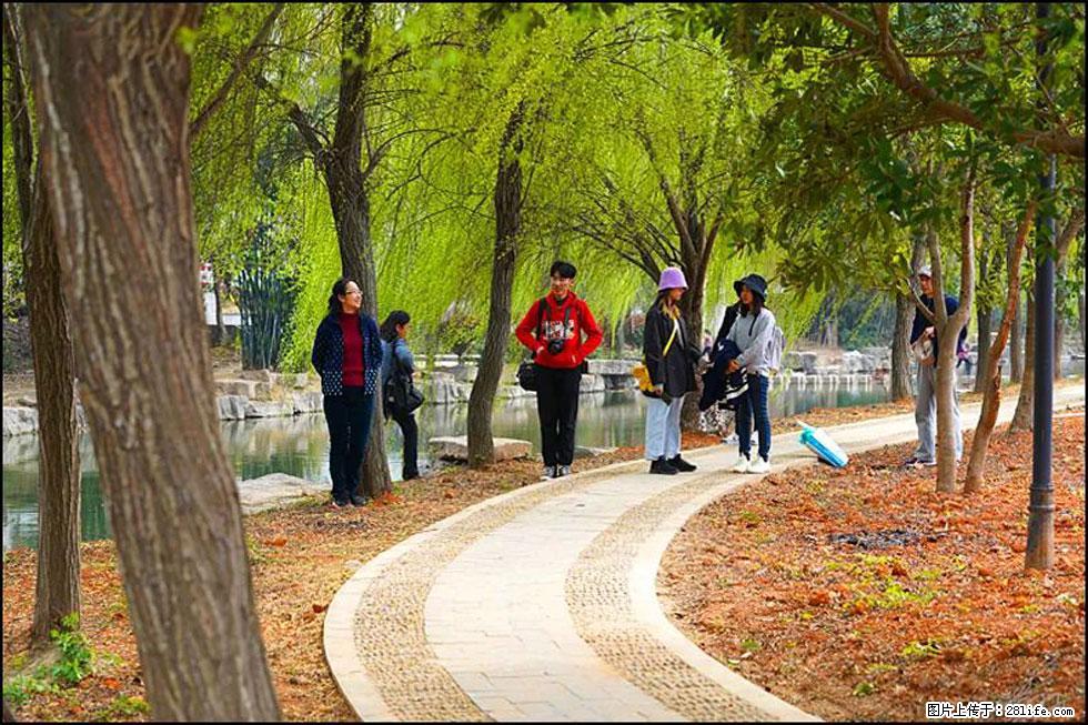 【春天，广西桂林灌阳县向您发出邀请！】江口老街又逢春 - 游山玩水 - 博尔塔拉生活社区 - 博尔塔拉28生活网 betl.28life.net