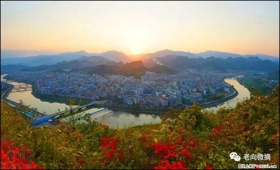 【春天，广西桂林灌阳县向您发出邀请！】登麒麟山，相约映山红 - 游山玩水 - 博尔塔拉生活社区 - 博尔塔拉28生活网 betl.28life.net