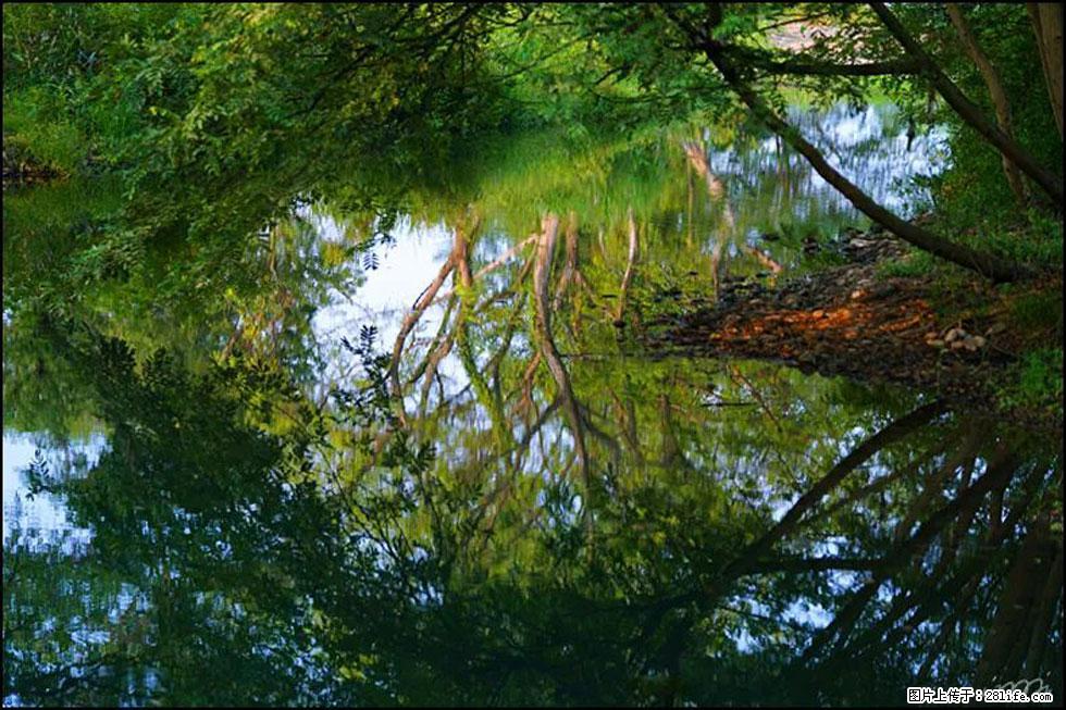 【春天，广西桂林灌阳县向您发出邀请！】熊家寨湿地公园 - 游山玩水 - 博尔塔拉生活社区 - 博尔塔拉28生活网 betl.28life.net