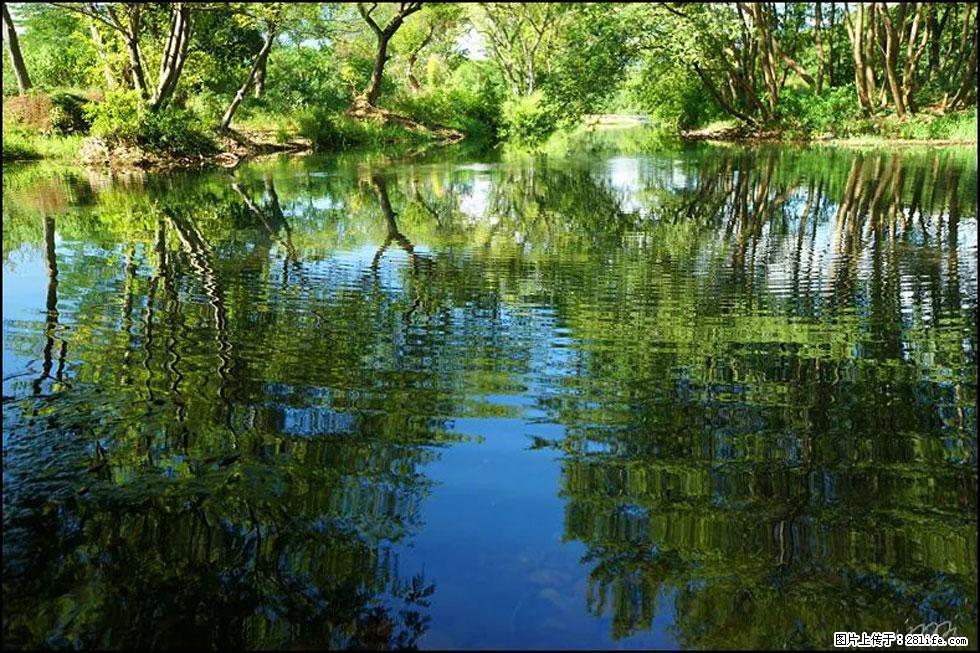【春天，广西桂林灌阳县向您发出邀请！】熊家寨湿地公园 - 游山玩水 - 博尔塔拉生活社区 - 博尔塔拉28生活网 betl.28life.net
