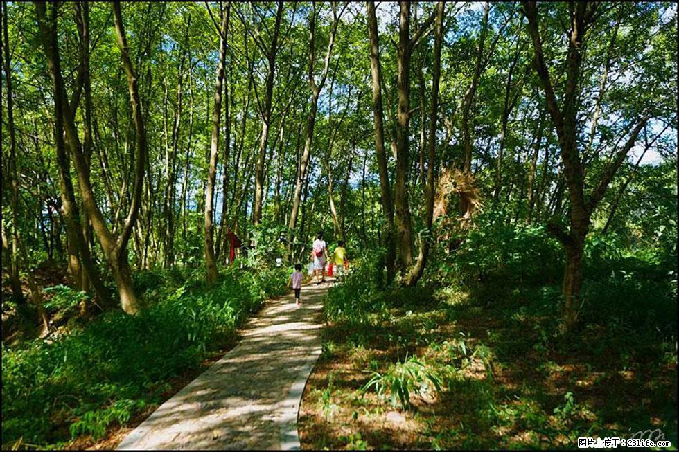 【春天，广西桂林灌阳县向您发出邀请！】熊家寨湿地公园 - 游山玩水 - 博尔塔拉生活社区 - 博尔塔拉28生活网 betl.28life.net