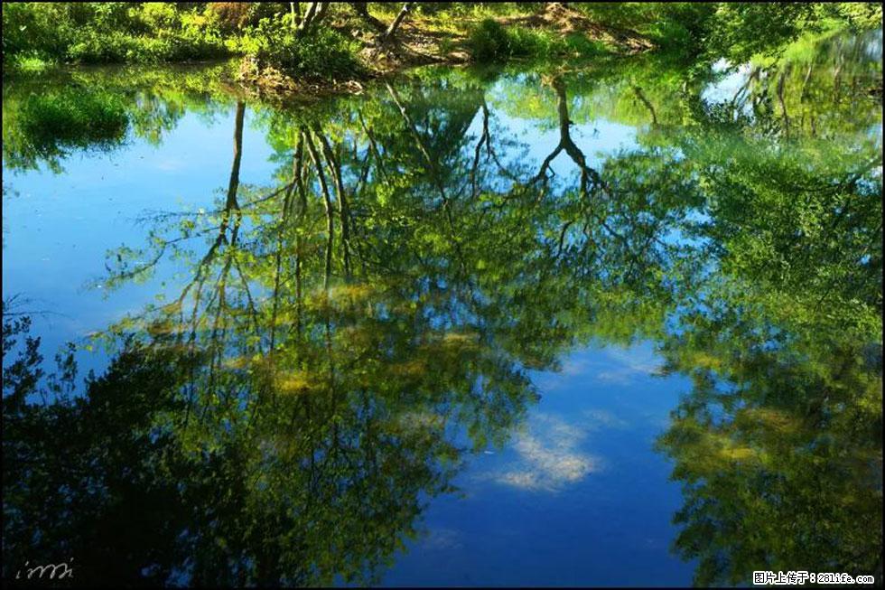 【春天，广西桂林灌阳县向您发出邀请！】熊家寨湿地公园 - 游山玩水 - 博尔塔拉生活社区 - 博尔塔拉28生活网 betl.28life.net