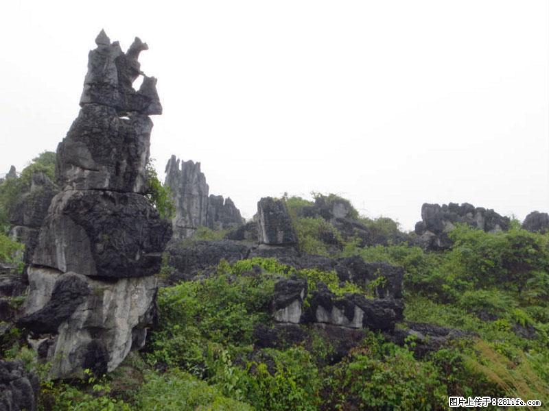 桂林旅游名城景点：灌阳文市石林 - 游山玩水 - 博尔塔拉生活社区 - 博尔塔拉28生活网 betl.28life.net