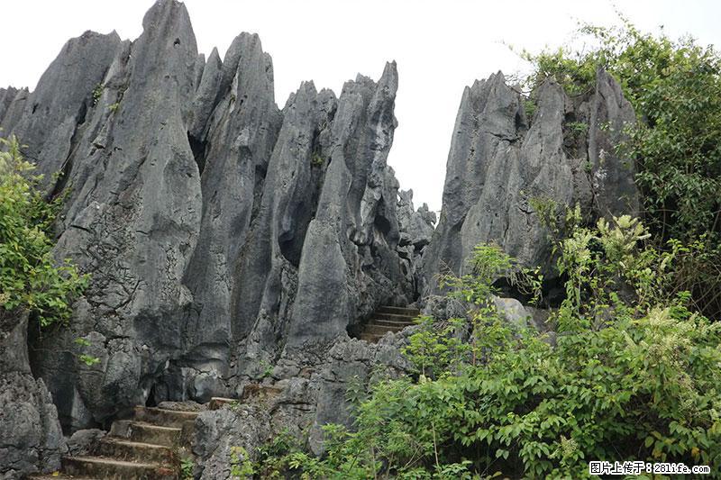 桂林旅游名城景点：灌阳文市石林 - 游山玩水 - 博尔塔拉生活社区 - 博尔塔拉28生活网 betl.28life.net