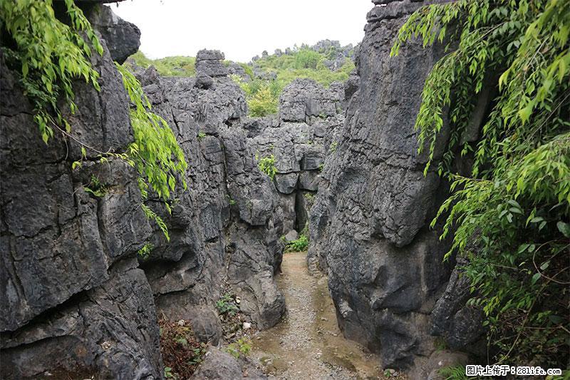 桂林旅游名城景点：灌阳文市石林 - 游山玩水 - 博尔塔拉生活社区 - 博尔塔拉28生活网 betl.28life.net