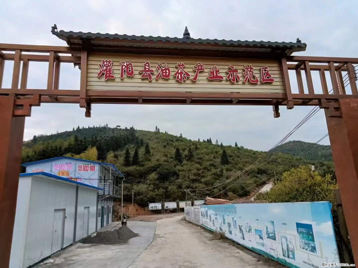 【灌阳县油茶产业示范区】一个有着充实的精神生活的人，对待身外之物自会有一种淡泊的态度 - 土特产 - 饮食特产 - 博尔塔拉分类信息 - 博尔塔拉28生活网 betl.28life.net