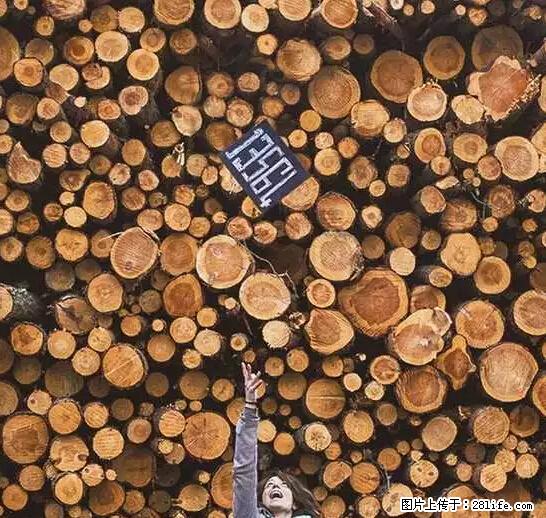 辞掉工作周游世界？现在他们在洗厕所…… - 游山玩水 - 博尔塔拉生活社区 - 博尔塔拉28生活网 betl.28life.net