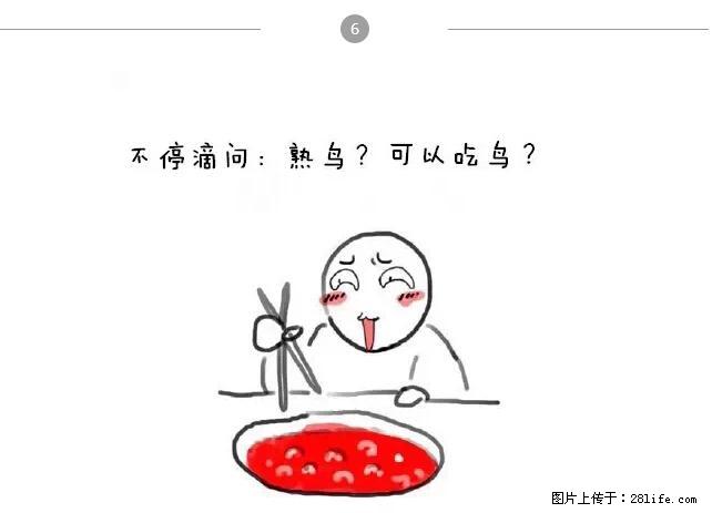 千万不要和这9种哈卵一起吃火锅！ - 美食天地 - 博尔塔拉生活社区 - 博尔塔拉28生活网 betl.28life.net