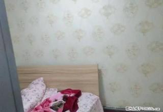 农五师早市旁三室两厅出租 - 博尔塔拉28生活网 betl.28life.net
