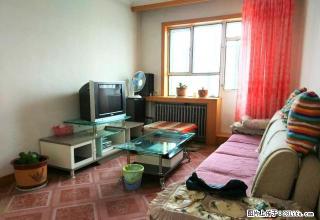 兴博市场附近5楼2室2厅70平米 - 博尔塔拉28生活网 betl.28life.net