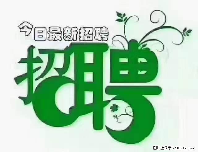 【招聘摄像师】待遇：试用期6000元/月，转正7000元/月+五险一金+餐补+节日福利+奖金 - 其他招聘信息 - 招聘求职 - 博尔塔拉分类信息 - 博尔塔拉28生活网 betl.28life.net