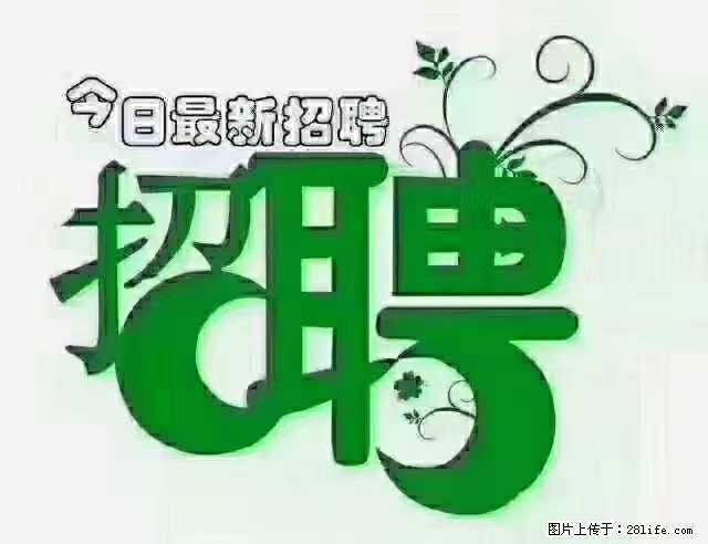 急聘！急聘！上海酒店长期前台，做六休一，每天8小时，6000块钱一月 - 职场交流 - 博尔塔拉生活社区 - 博尔塔拉28生活网 betl.28life.net