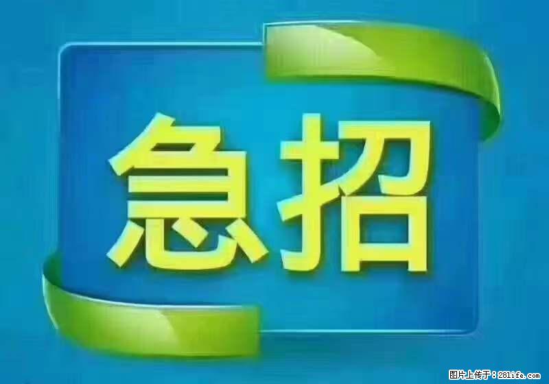 招财务，有会计证的，熟手会计1.1万底薪，上海五险一金，包住，包工作餐，做六休一 - 职场交流 - 博尔塔拉生活社区 - 博尔塔拉28生活网 betl.28life.net