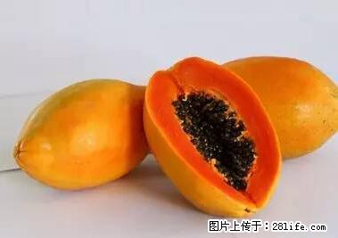 晕车、脚气、牙齿变黄、皮肤粗糙？学会这些三分钟搞定！ - 博尔塔拉生活资讯 - 博尔塔拉28生活网 betl.28life.net