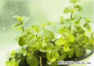 晕车、脚气、牙齿变黄、皮肤粗糙？学会这些三分钟搞定！ - 博尔塔拉生活资讯 - 博尔塔拉28生活网 betl.28life.net
