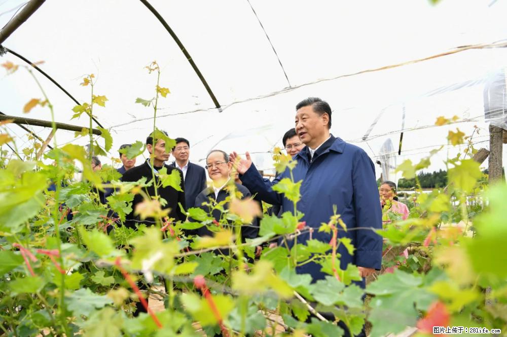 习近平赴广西考察调研 - 博尔塔拉生活资讯 - 博尔塔拉28生活网 betl.28life.net