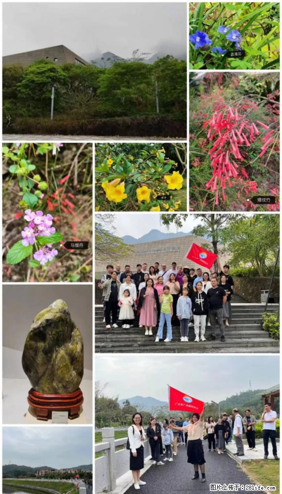 “粤灌文化 美好生活”油茶文化主题活动在广东深圳成功举办 - 博尔塔拉生活资讯 - 博尔塔拉28生活网 betl.28life.net