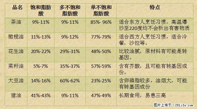 揭秘茶油的5大核心营养成分！被称为人体健康的“守护盾”！ - 博尔塔拉生活资讯 - 博尔塔拉28生活网 betl.28life.net