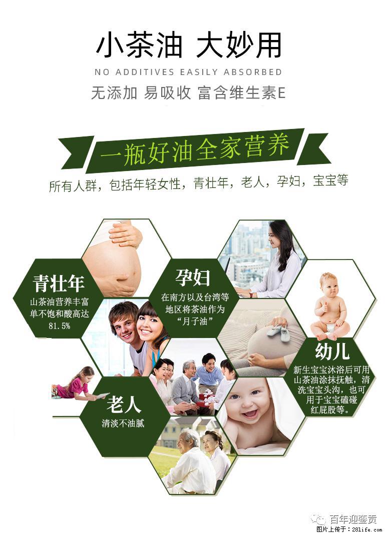 世界没有真相，只有认知，最好的食用油是中国的山茶油！ - 博尔塔拉生活资讯 - 博尔塔拉28生活网 betl.28life.net