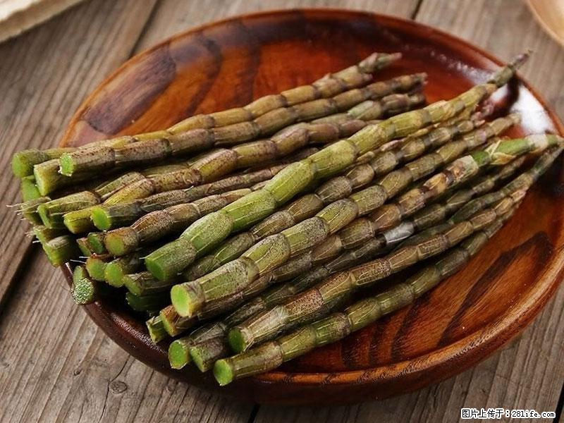 铁皮石斛的作用与功能主治 - 博尔塔拉生活资讯 - 博尔塔拉28生活网 betl.28life.net